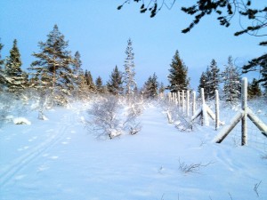 Luminen maisema
